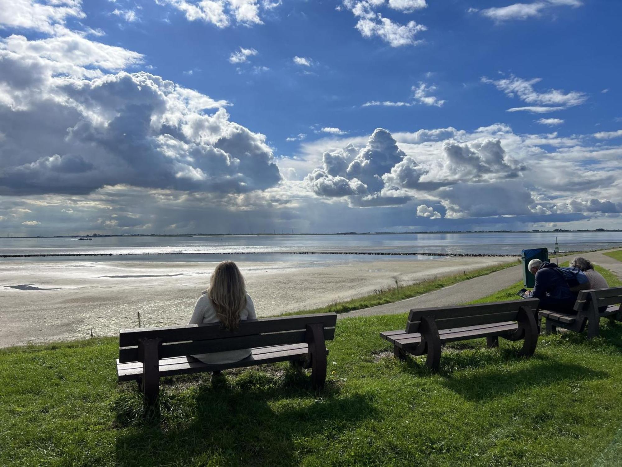 Parkzicht By Interhome Vakantiehuis Scherpenisse